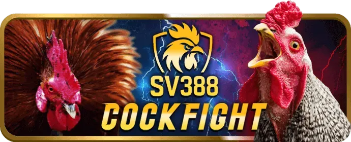 Các phương thức liên hệ hỗ trợ khách hàng của cm88 win